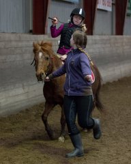 Ringridning_20170226__MG_3417.jpg