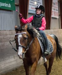 Ringridning_20170226__MG_3513.jpg