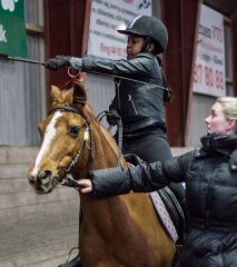 Ringridning_20170226__MG_3524.jpg