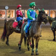 Ringridning_20170226__MG_3829.jpg
