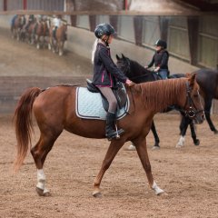 Ridecamp2016_20160801__MG_6459.jpg