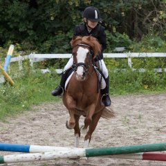 Ridecamp2016_20160805_IMG_0116.jpg