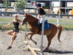 _20180803_5B9A9477.jpg