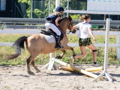 _20180803_5B9A9512.jpg