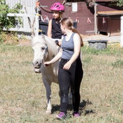 _20180803_5B9A9534.jpg