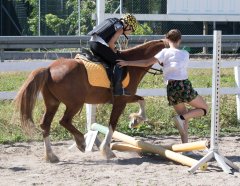 _20180803_5B9A9543.jpg