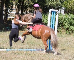 _20180803_5B9A9550.jpg