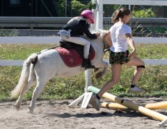 _20180803_5B9A9670.jpg