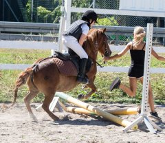 _20180803_5B9A9684.jpg