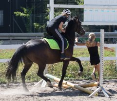 _20180803_5B9A9740.jpg